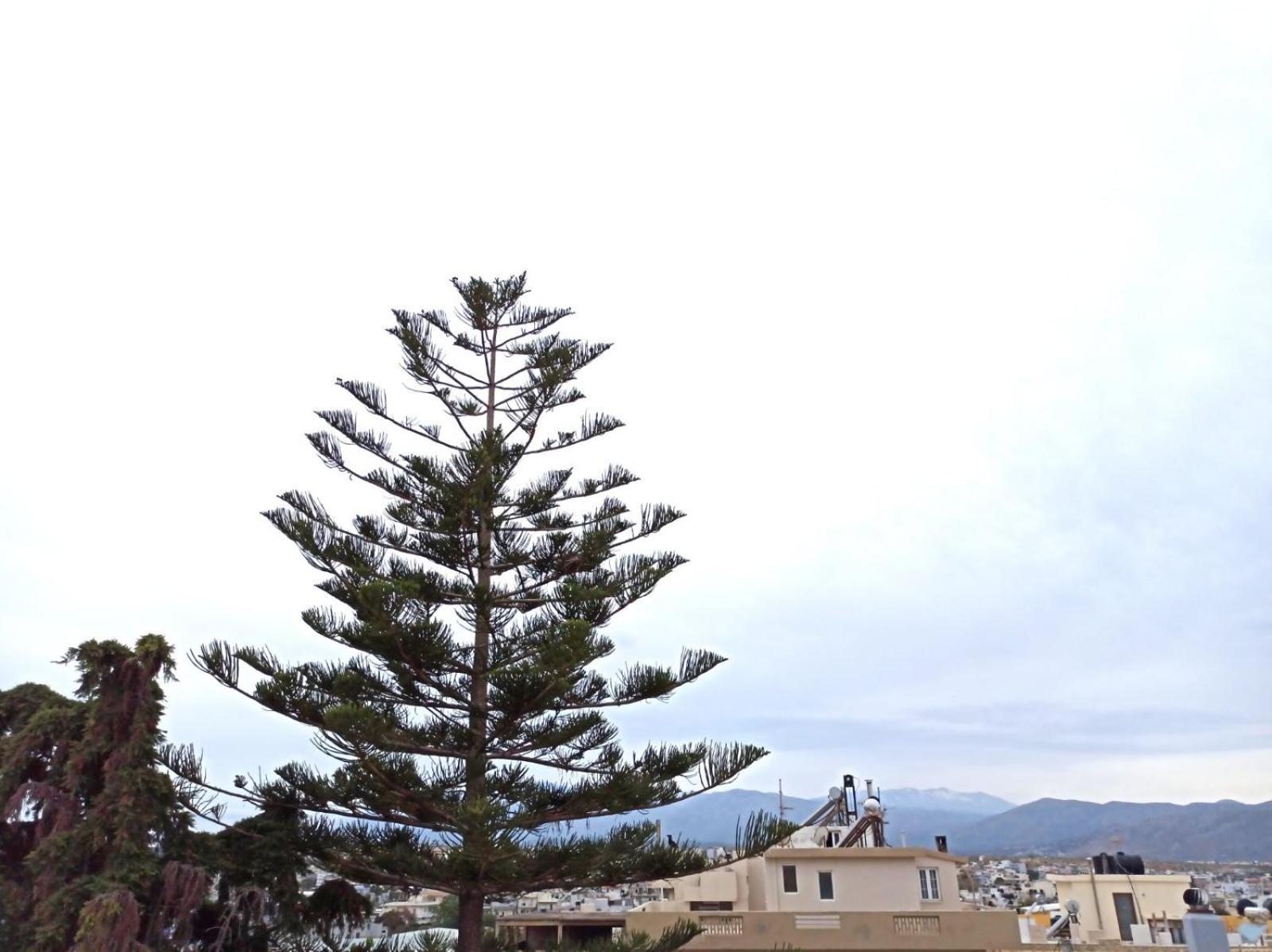 Renovated Loft Near The Center Heraklion (Crete) Exterior foto